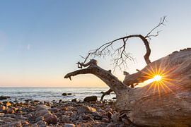 Brodtener Steifufer by Sven-Erik Arndt