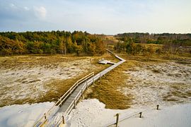 Holzweg durch die Dünen an der Ostsee