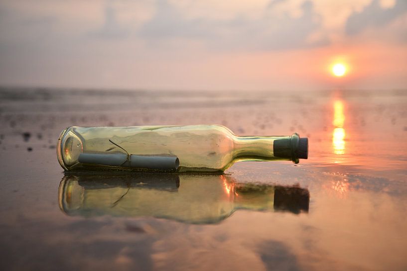 Message in a bottle by Dianne van der Velden