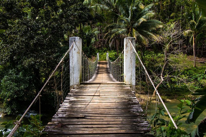 Brug in het binnenland van de Filipijnen van Dick Hooijschuur