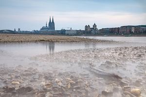 Niedrigwasser am Rhein in Köln