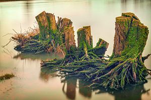 Stille im Wasser