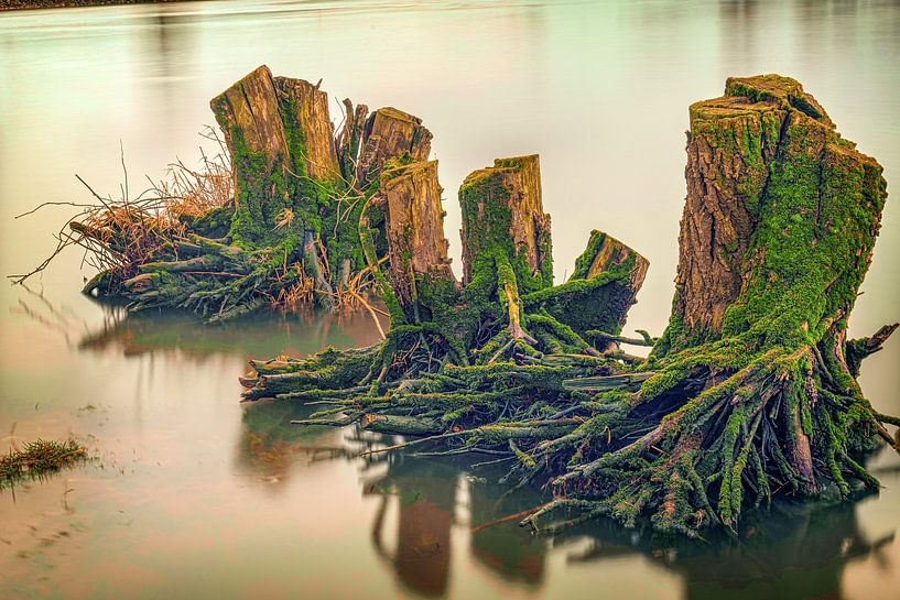 Le silence dans l'eau par Fotografie Arthur van Leeuwen