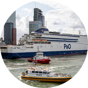 P&O Ferries boot in Rotterdamse haven van Bram de Muijnck