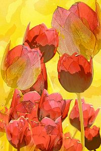 Splendeur des tulipes. Dans les tons de jaune et d'orange.