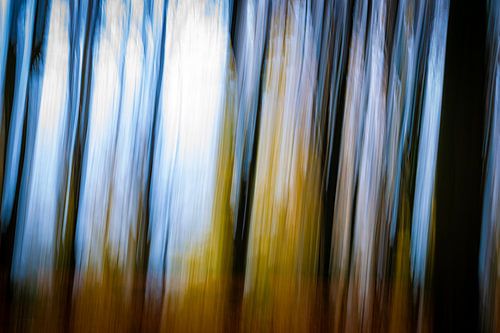 Herfst bij Boshuis Drie, abstracte variant #3