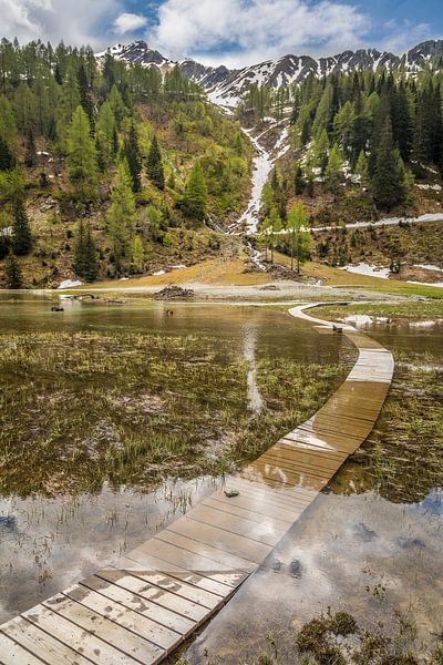 Ondergelopen houten plankenpad bij Klapfsee (1.680 m) in Dorfertal, Oost-Tirol van Christian Müringer