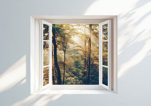 uitzicht op het bos vanuit de woonkamer