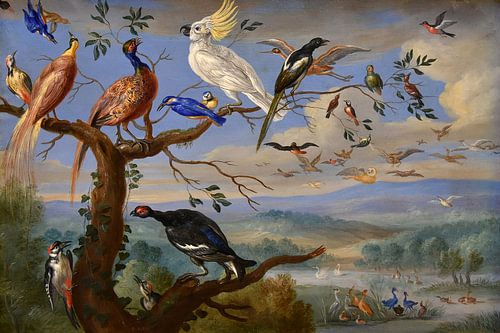 Exotische vogels Brafa, Jan van Kessel
