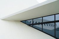 Niemeyer au Havre