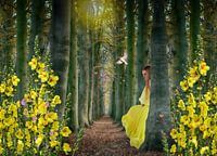 The yellow flower forest