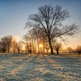 Grensmaas, Meers, South Limburg. by Ramon Stijnen