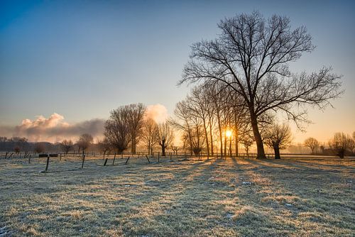 Grensmaas, Meers, Limbourg Sud. sur Ramon Stijnen