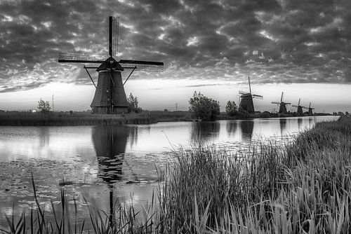 Windmolens in Holland. Zwart-wit beeld.
