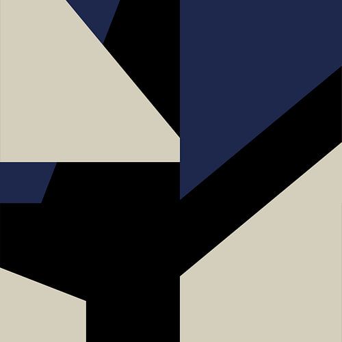 Abstracte Geometrische Vormen in Blauw, Zwart, Wit nr. 8