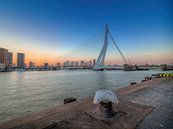 De Erasmusbrug, Rotterdam, Nederland von Jan Plukkel Miniaturansicht