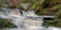 Hoëgne Rivier België by Roland Swennen thumbnail
