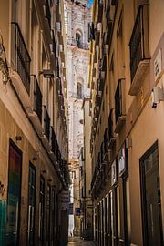 Malaga by Frans Janssen