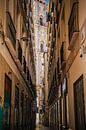 Malaga by Frans Janssen thumbnail