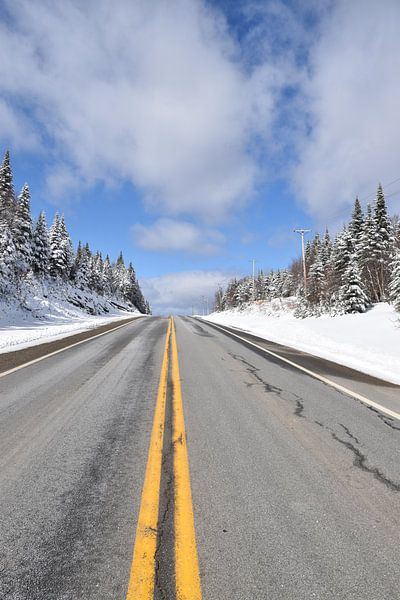 A deserted road in spring by Claude Laprise