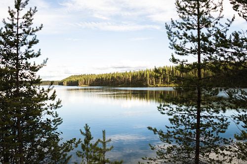 Spiegelung im Wasser
