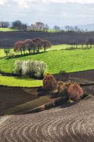 Heuvelland