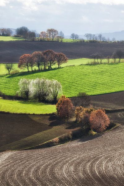 Hill country by peter reinders