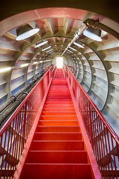 Tunnel naar het licht