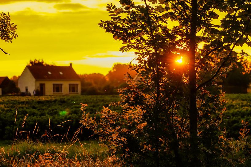 Maison au coucher du soleil par Niek Traas
