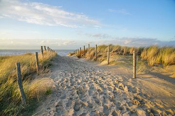 Dünen und Strand an der Küste der Niederlande