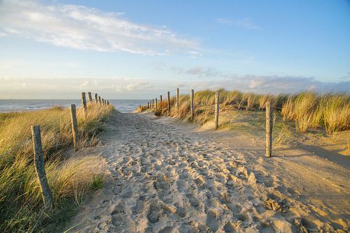Duin en strand aan de kust van Nederland