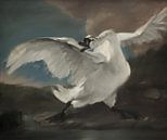 The endangered swan, without text and repainted, after the painting by Jan Asselijn, pastel by MadameRuiz thumbnail