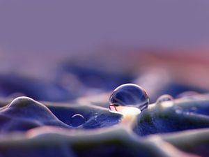 Blauer Regen (Tropfen in Blau)