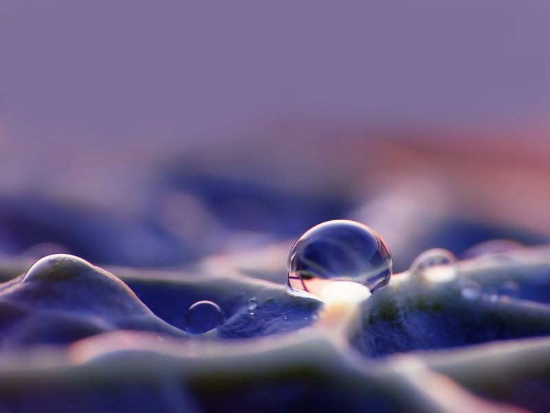 Blue Rain (Drop in blue) by Caroline Lichthart