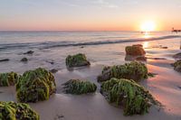 Purple sunset zeeland
