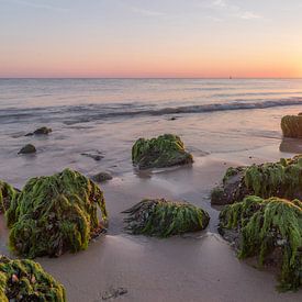 Purple sunset zeeland by Tom Hengst