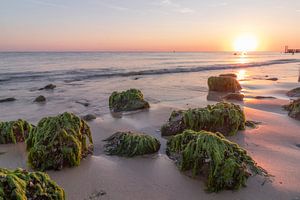 Lila Sonnenuntergang Zeeland