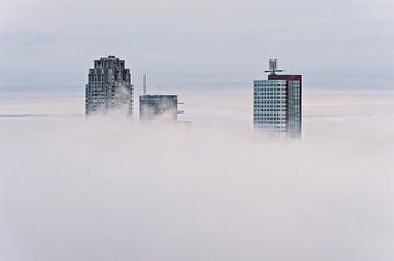 New Orleans, World Port Center and Montevideo | Fog Rotterdam by Rob de Voogd / zzapback
