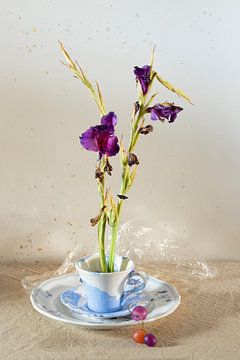 Nature morte 'Glaïeul violet dans une tasse et une soucoupe'.