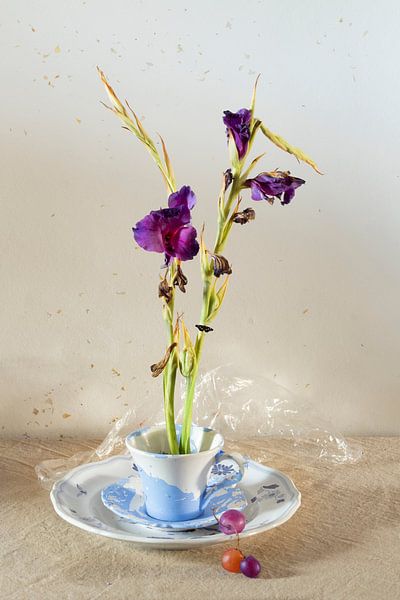 Nature morte 'Glaïeul violet dans une tasse et une soucoupe'. par Willy Sengers