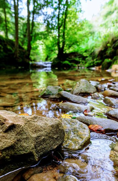 S'agit-il d'un "Rivendell" ? par Dan Photo Shaman