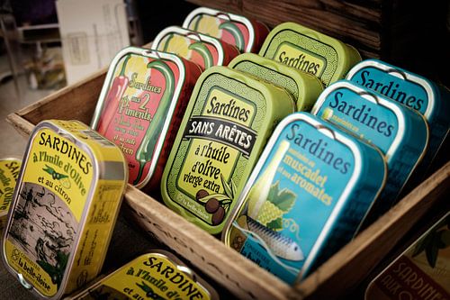 Fish cans on the market