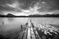 Atmospheric light at Lake Hopfensee in the Allgäu in black and white