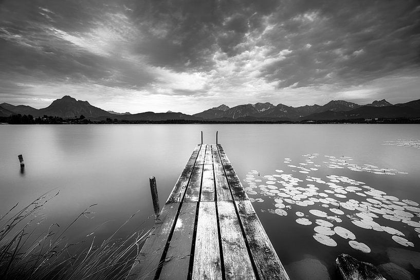 Stimmungsvolles Licht am Hopfensee im Allgäu in schwarzweiß von Manfred Voss, Schwarz-weiss Fotografie