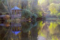 Waldsee Freiburg