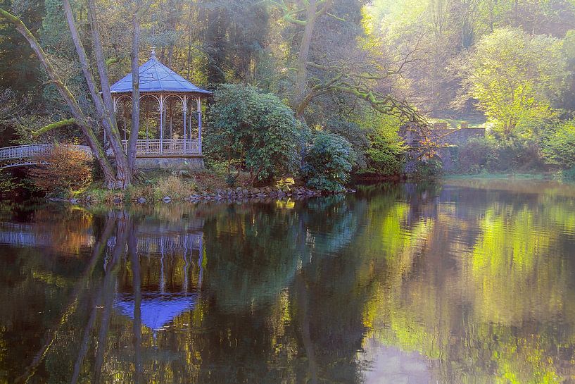 Waldsee Freiburg van Patrick Lohmüller