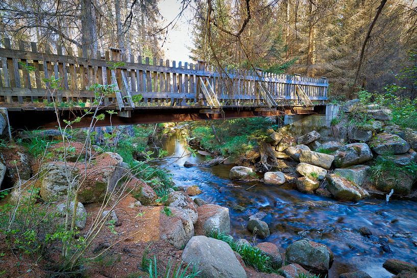 De romantische rivier de Kalte Bode in het Harz Nationaal Park van Heiko Kueverling