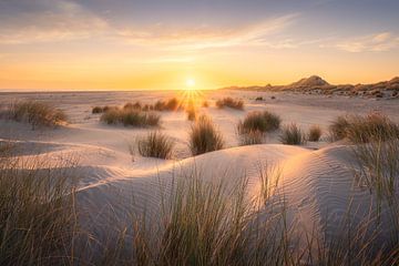 Terschelling erwacht. von Marco Lok