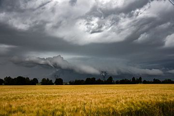 Ciel menaçant au-dessus d'un champ de blé sur Hardhills-Chasers