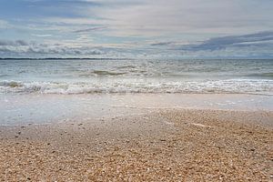 Kieselsteine und Muscheln